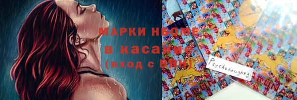 крисы Аркадак