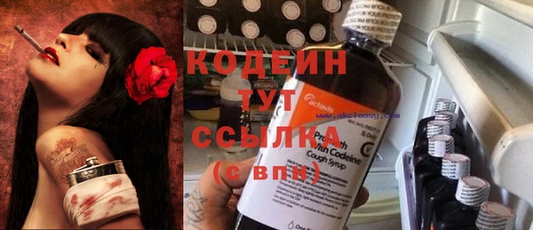 крисы Аркадак