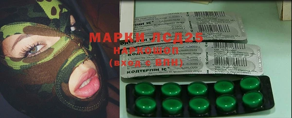крисы Аркадак