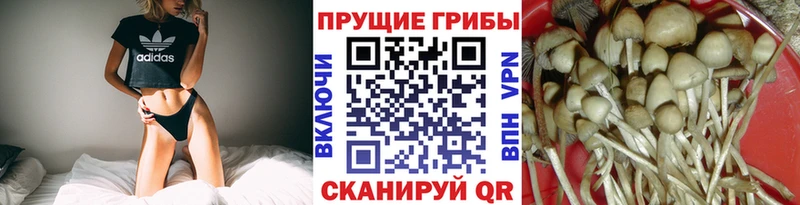 Галлюциногенные грибы MAGIC MUSHROOMS  KRAKEN ссылка  Мурино 