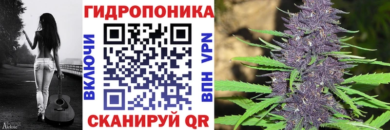 darknet наркотические препараты  Мурино  Бошки марихуана тримм 
